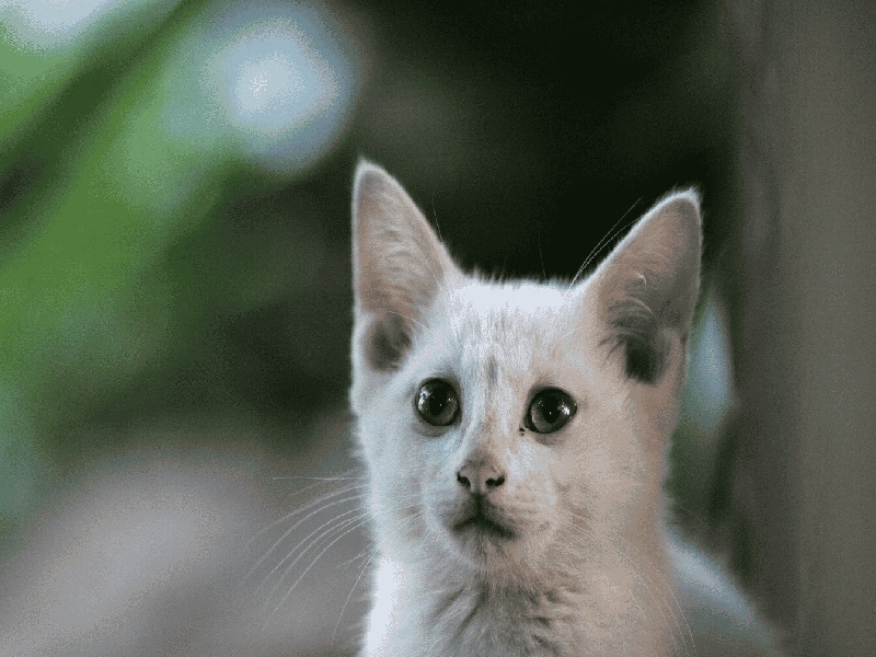 陈女士成功案例